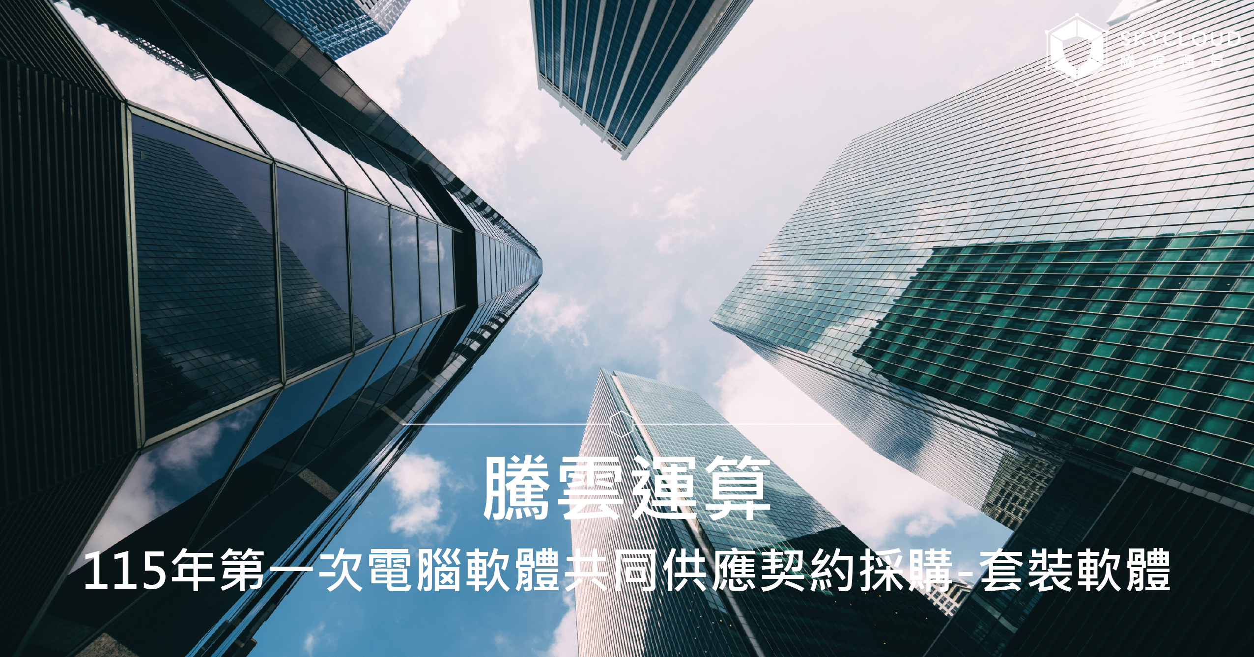 騰雲運算|115年第一次電腦軟體共同供應契約採購-套裝軟體(1150201)|為台灣公部門DDoS防護夥伴