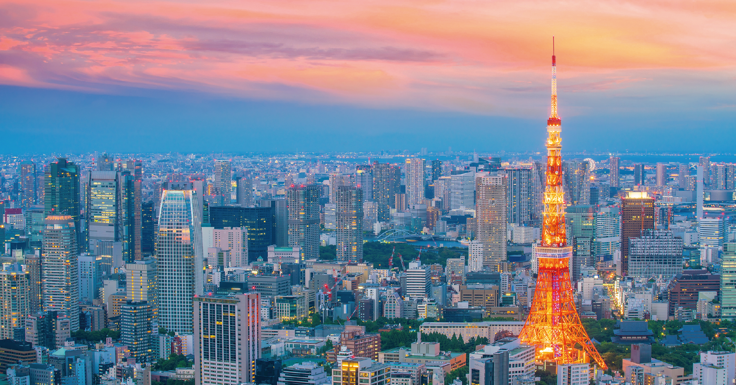 SkyCloud Computing Expands into Japan IT Week Spring 2026: Strengthening Japan’s Cybersecurity Ecosystem with CDN and DDoS Protection