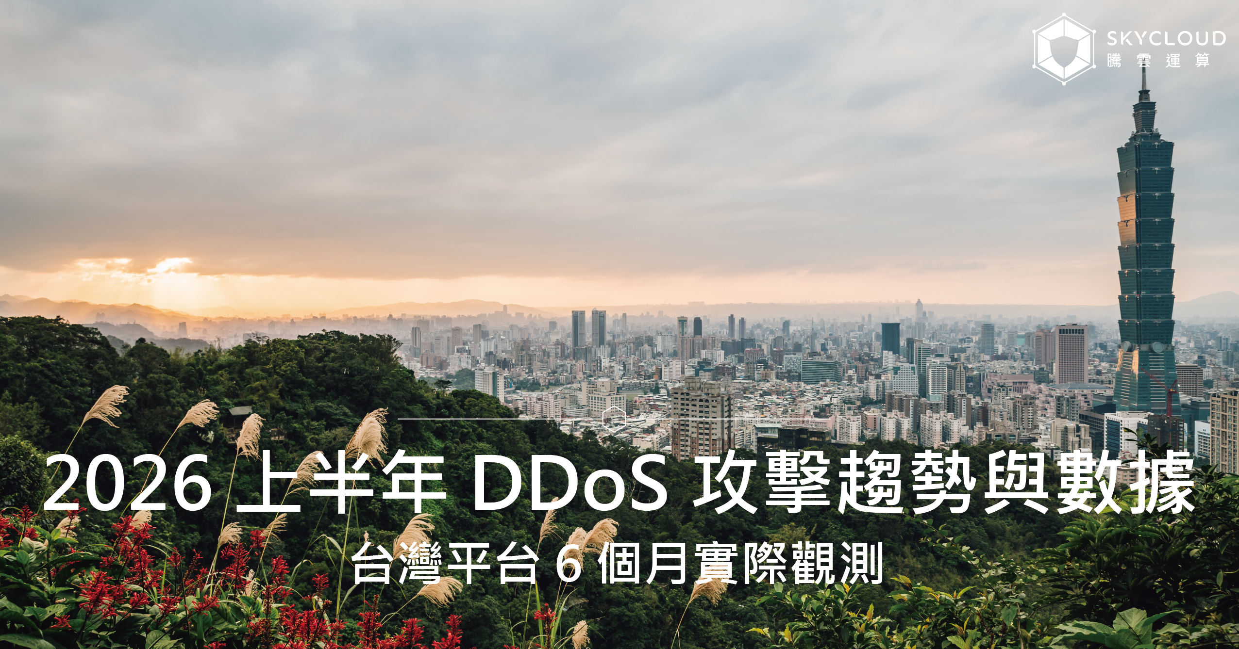 2026 上半年 DDoS 攻擊趨勢與數據：台灣平台 6 個月實際觀測